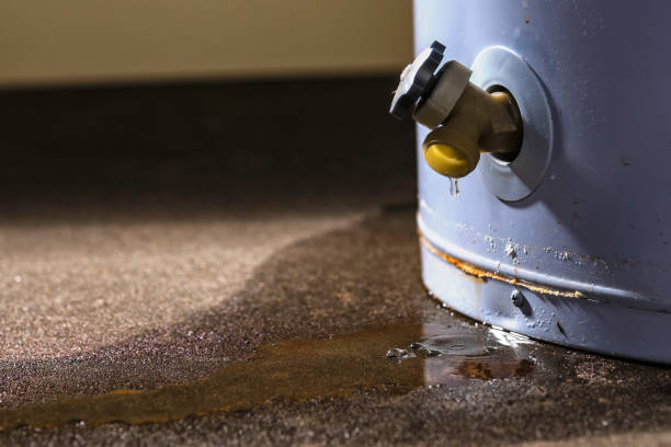 Best Flooded house restoration  in Cullowhee, NC