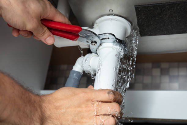 Best Carpet water damage restoration  in Cullowhee, NC