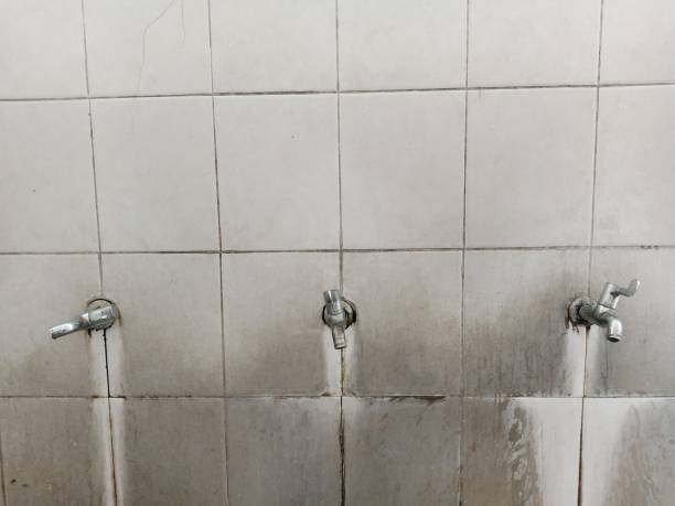 Best Fire Damage Restoration  in Cullowhee, NC
