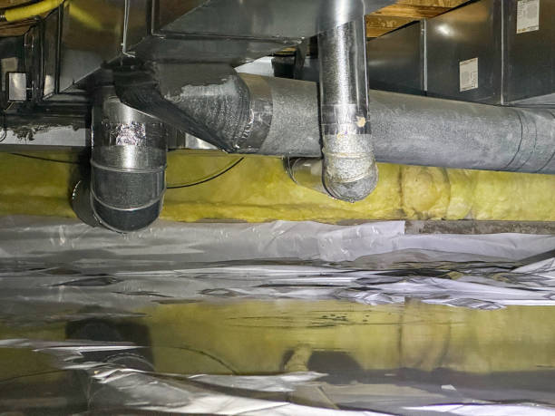 Best Carpet water damage restoration  in Cullowhee, NC