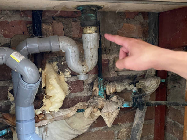 Best Emergency water extraction  in Cullowhee, NC