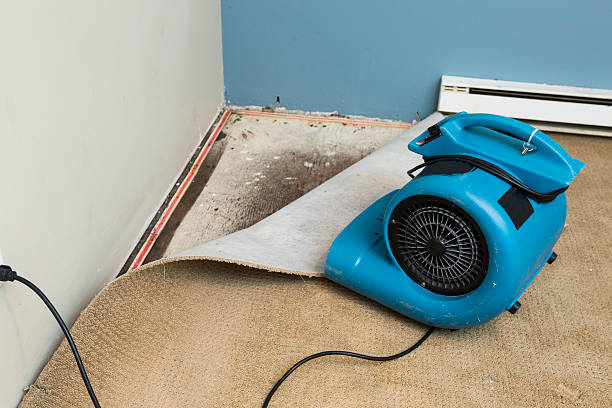 24/7 water damage repair in Cullowhee, NC